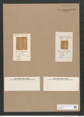 Stauroneis wittrockii Lagerst. (de-Toni-Nr.: Genus 6, Species 924) Zeichnungen Sammlung Grunow Nr. 1781 (NHMW-BOT-W0368681)